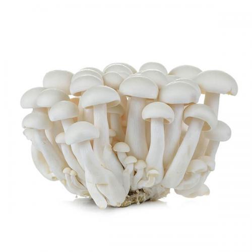 White beech mushroom / shimeji 150g