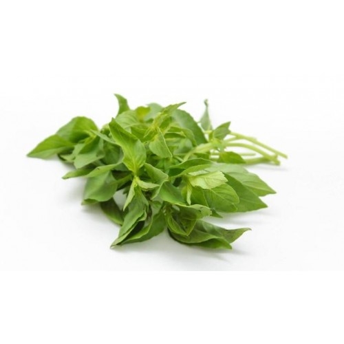 Fresh Hairy Basil 100g