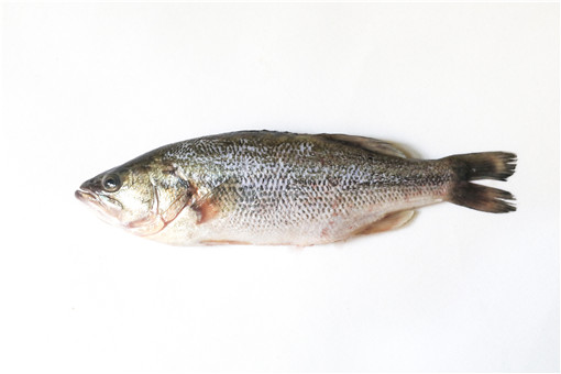 Seabass 800g/unit