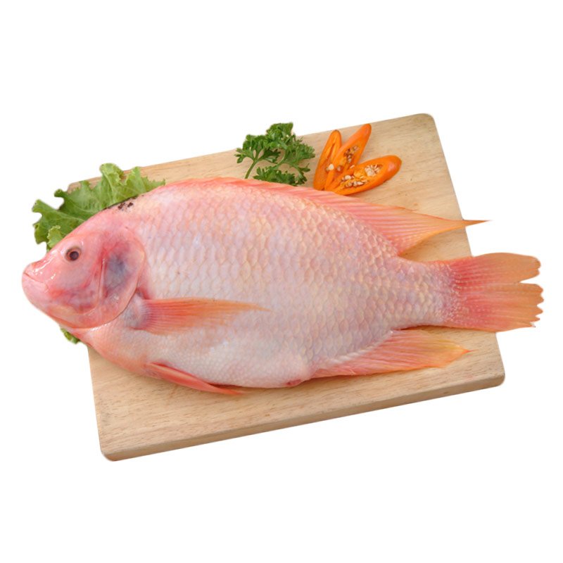 Red Tilapia G&S /kg Gross Weight
