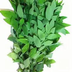 Pak wan rau ngot 200gr