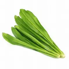 Thai Parsley/Stinking 80g