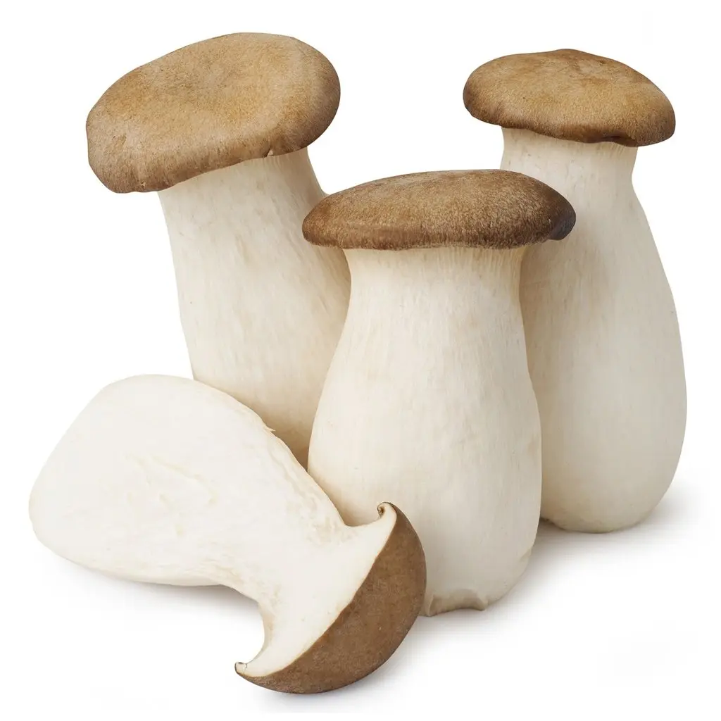 King Oyster mushroom 1kg