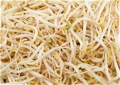 Mung Bean Sprouts 250g