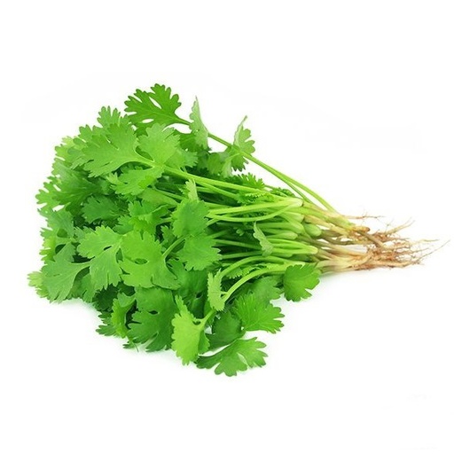 Fresh coriander / kg