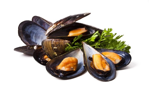 Dayseaday Whole Cooked Mussels 40/60 1kg