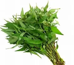 Vietnamese Coriander (Rau Ram) 100gr